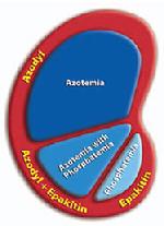 azodyl enteric dialysis