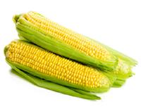 corn dog food science diet harmful bad