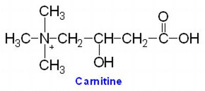 carnitine dog cat nutrition hepatic lipidosis fatty liver syndrome